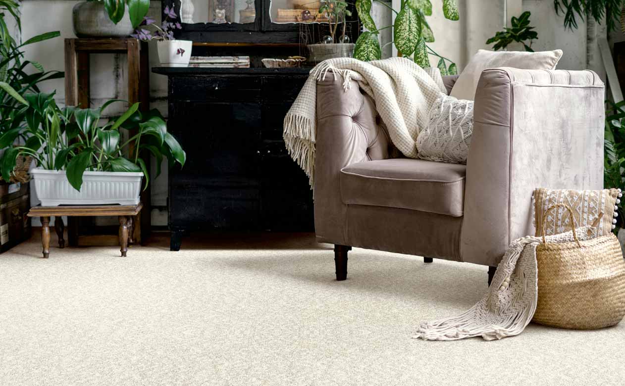 White plush area rug with a reading chair in the corner and a plant cabinet.
