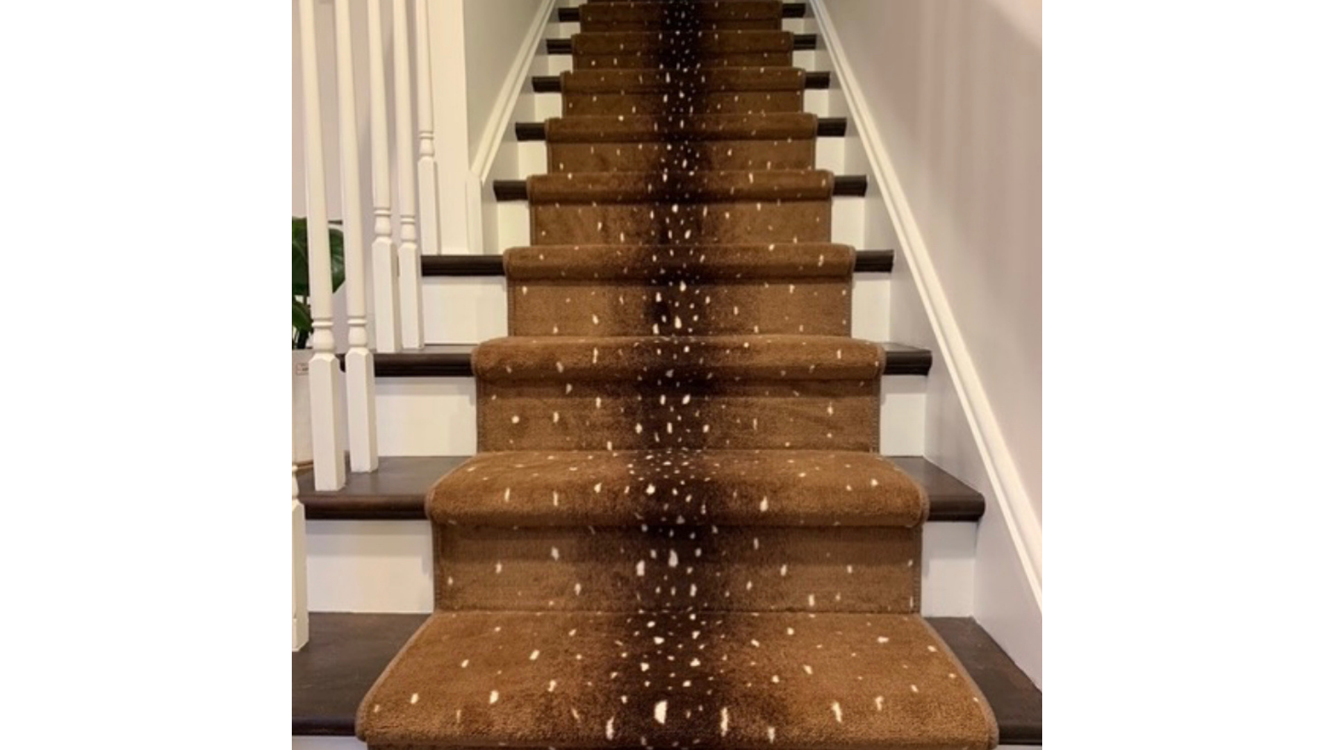 Designer carpet runner in Westland MI
